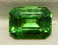 Emerald Cut Tanzanian Tsavorite Garnet