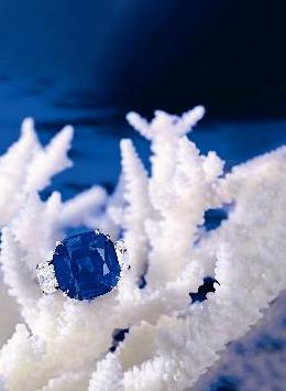The 18.08 carat Kashmir sapphire and diamond ring fetched HK$ 11.7 million.