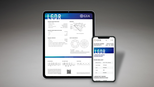 LGDR TABLET AND PHONE